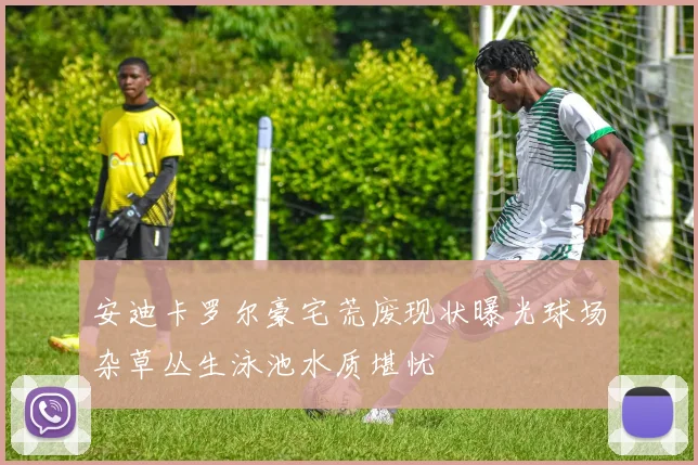 安迪卡罗尔豪宅荒废现状曝光球场杂草丛生泳池水质堪忧